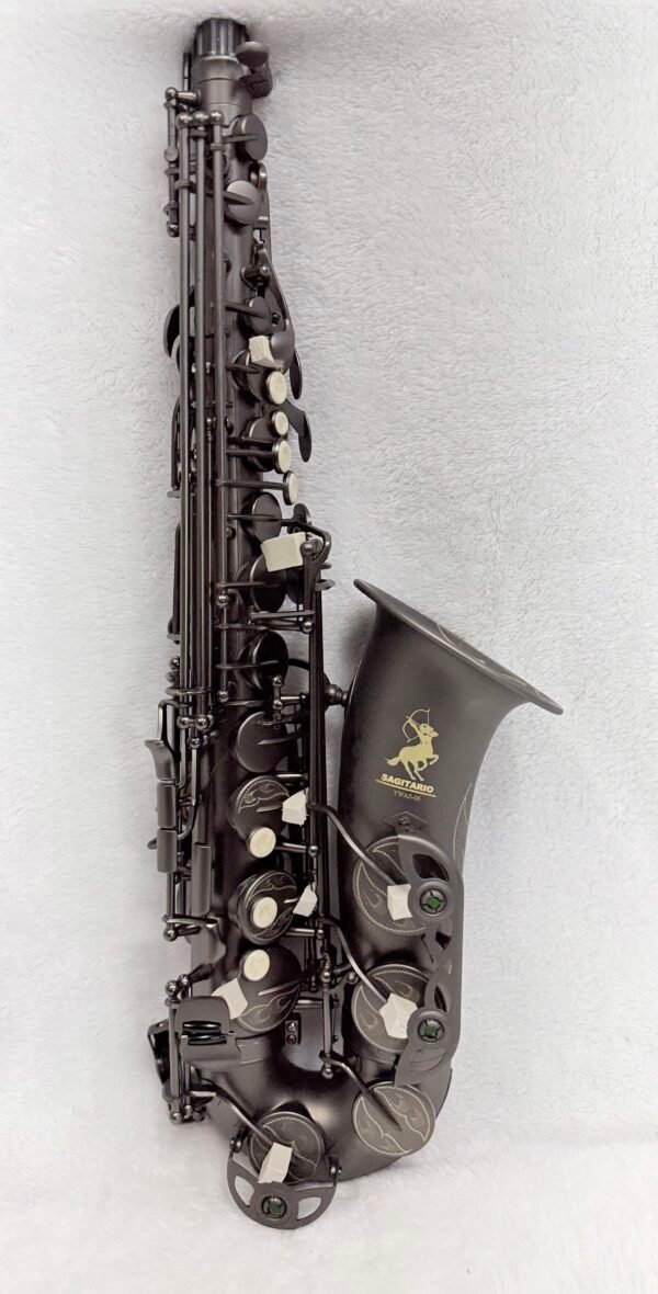 IMG_0412 Saxofón Alto Negro Mate Sagitario YWAS-06