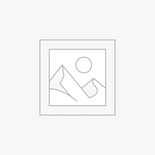 Saxofón alto negro Slade – WSS928B